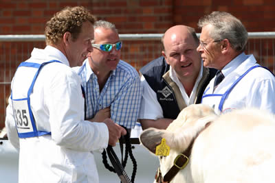 Even the 'shades' were blue in the NI Blue Cattle Club Judging ring at Balmoral.